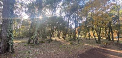 Terrain à Salernes en Var (83) de 800 m² à vendre au prix de 99000€ - 3