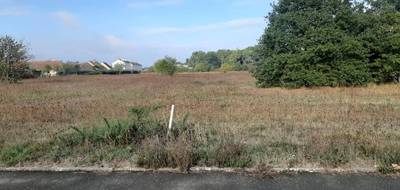 Terrain à Roézé-sur-Sarthe en Sarthe (72) de 399 m² à vendre au prix de 39900€ - 1