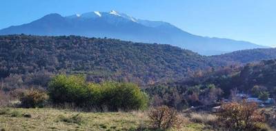 Terrain et maison à Catllar en Pyrénées-Orientales (66) de 170 m² à vendre au prix de 428000€ - 4