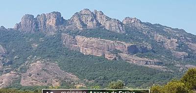 Terrain à Roquebrune-sur-Argens en Var (83) de 960 m² à vendre au prix de 330000€ - 4