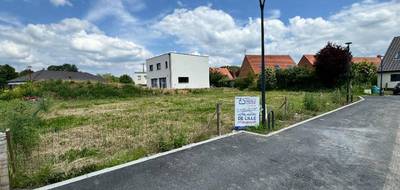 Terrain et maison à Avelin en Nord (59) de 95 m² à vendre au prix de 491000€ - 3