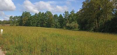 Terrain et maison à Nesmy en Vendée (85) de 90 m² à vendre au prix de 232160€ - 4