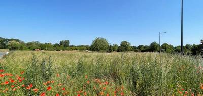 Terrain et maison à Niherne en Indre (36) de 65 m² à vendre au prix de 156880€ - 4