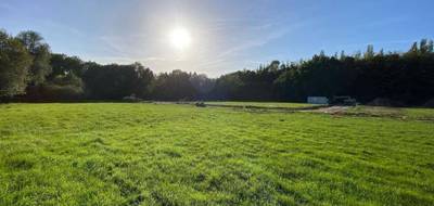 Terrain et maison à Grangues en Calvados (14) de 98 m² à vendre au prix de 323900€ - 4