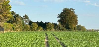 Terrain et maison à Sains-en-Gohelle en Pas-de-Calais (62) de 93 m² à vendre au prix de 210000€ - 3