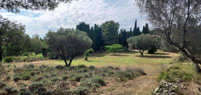 Terrain à Sanary-sur-Mer en Var (83) de 500 m² à vendre au prix de 460000€ - 1