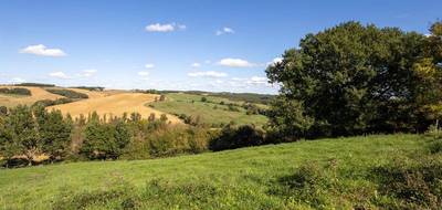 Terrain à Le Fousseret en Haute-Garonne (31) de 2500 m² à vendre au prix de 48000€ - 1