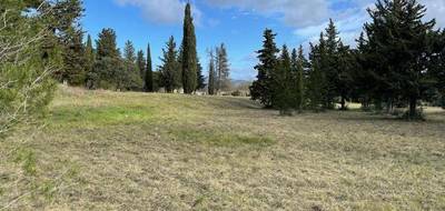 Terrain à Le Triadou en Hérault (34) de 500 m² à vendre au prix de 239000€ - 1