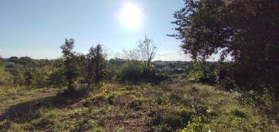 Terrain à Orgnac-l'Aven en Ardèche (07) de 2878 m² à vendre au prix de 76000€ - 1