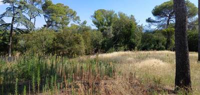 Terrain et maison à Cournonsec en Hérault (34) de 90 m² à vendre au prix de 540000€ - 4