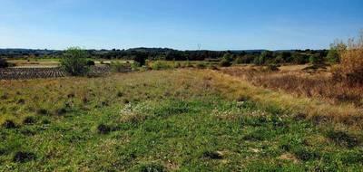 Terrain et maison à Loupian en Hérault (34) de 150 m² à vendre au prix de 585000€ - 4