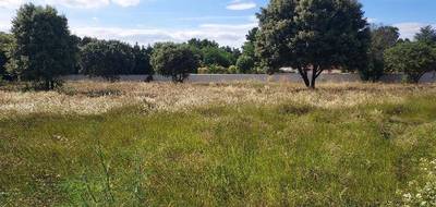 Terrain à Camaret-sur-Aigues en Vaucluse (84) de 450 m² à vendre au prix de 115500€ - 3