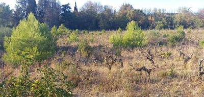 Terrain et maison à Argens-Minervois en Aude (11) de 134 m² à vendre au prix de 383143€ - 4