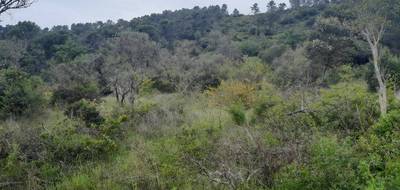 Terrain et maison à Camps-la-Source en Var (83) de 130 m² à vendre au prix de 545000€ - 4