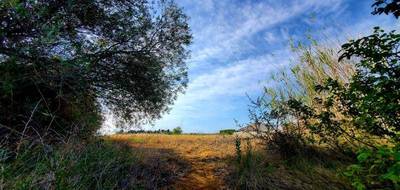 Terrain à Thézan-lès-Béziers en Hérault (34) de 334 m² à vendre au prix de 90500€ - 4