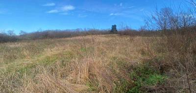 Terrain à L'Étoile en Jura (39) de 2000 m² à vendre au prix de 60000€ - 2