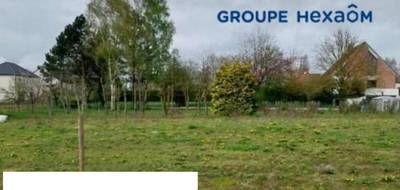 Terrain et maison à Marœuil en Pas-de-Calais (62) de 145 m² à vendre au prix de 333360€ - 3