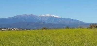 Terrain et maison à Corneilla-de-Conflent en Pyrénées-Orientales (66) de 120 m² à vendre au prix de 517000€ - 4