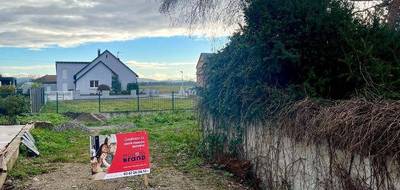 Terrain et maison à Jebsheim en Haut-Rhin (68) de 135 m² à vendre au prix de 469000€ - 3