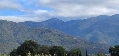 Terrain et maison à Laroque-des-Albères en Pyrénées-Orientales (66) de 120 m² à vendre au prix de 449000€ - 4