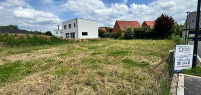 Terrain et maison à Avelin en Nord (59) de 120 m² à vendre au prix de 387000€ - 4