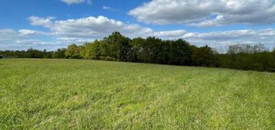 Terrain à Horsarrieu en Landes (40) de 2450 m² à vendre au prix de 48400€ - 1