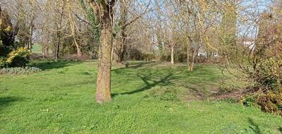 Terrain à Semussac en Charente-Maritime (17) de 550 m² à vendre au prix de 75000€ - 1