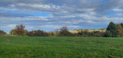 Terrain et maison à Tauriac en Tarn (81) de 75 m² à vendre au prix de 157250€ - 4