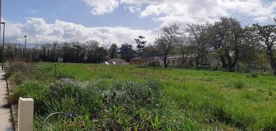 Terrain et maison à Grisolles en Tarn-et-Garonne (82) de 120 m² à vendre au prix de 270470€ - 3