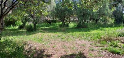 Terrain à Cuers en Var (83) de 597 m² à vendre au prix de 215000€ - 1