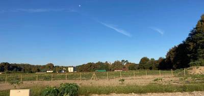 Terrain à Seyresse en Landes (40) de 410 m² à vendre au prix de 62000€ - 1