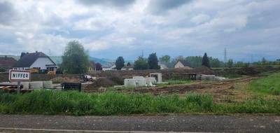 Terrain et maison à Niffer en Haut-Rhin (68) de 156 m² à vendre au prix de 685000€ - 3