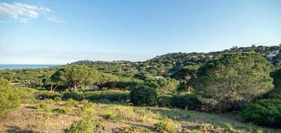 Terrain et maison à Sainte-Maxime en Var (83) de 173 m² à vendre au prix de 1990000€ - 4