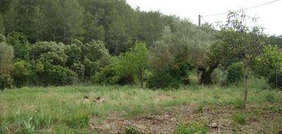 Terrain à Cuers en Var (83) de 855 m² à vendre au prix de 255000€ - 3