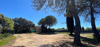 Terrain et maison à Castries en Hérault (34) de 110 m² à vendre au prix de 535000€ - 4