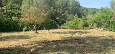 Terrain et maison à Cuers en Var (83) de 140 m² à vendre au prix de 530000€ - 3