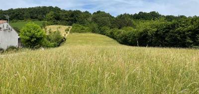 Terrain à Verdalle en Tarn (81) de 2588 m² à vendre au prix de 60000€ - 1