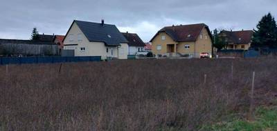 Terrain et maison à Sélestat en Bas-Rhin (67) de 110 m² à vendre au prix de 380800€ - 3