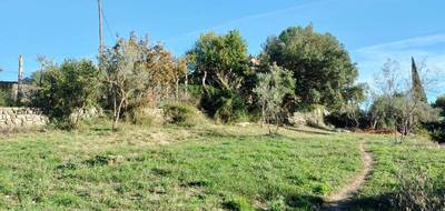 Terrain et maison à Lorgues en Var (83) de 112 m² à vendre au prix de 369000€ - 3