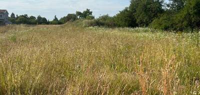 Terrain et maison à Blyes en Ain (01) de 90 m² à vendre au prix de 292000€ - 3