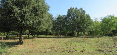 Terrain à Montignargues en Gard (30) de 300 m² à vendre au prix de 86900€ - 3