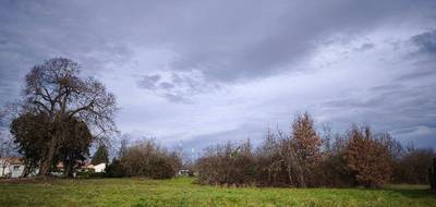 Terrain et maison à Gaillac en Tarn (81) de 99 m² à vendre au prix de 192000€ - 4