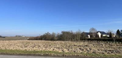 Terrain et maison à Haucourt-Moulaine en Meurthe-et-Moselle (54) de 120 m² à vendre au prix de 429000€ - 4