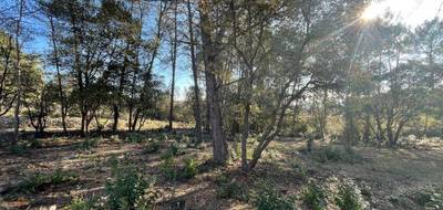 Terrain à Trans-en-Provence en Var (83) de 900 m² à vendre au prix de 193000€ - 2