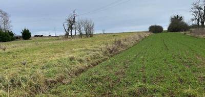 Terrain à Roussy-le-Village en Moselle (57) de 3100 m² à vendre au prix de 265000€ - 2