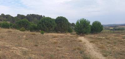 Terrain à Marcorignan en Aude (11) de 388 m² à vendre au prix de 116900€ - 3