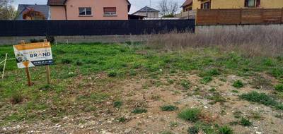 Terrain et maison à Wolfgantzen en Haut-Rhin (68) de 110 m² à vendre au prix de 357900€ - 4