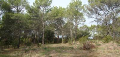 Terrain à Pierrefeu-du-Var en Var (83) de 343 m² à vendre au prix de 150000€ - 1