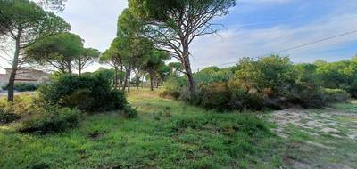 Terrain à Puget-sur-Argens en Var (83) de 656 m² à vendre au prix de 250000€ - 1