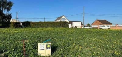 Terrain et maison à Neuve-Chapelle en Pas-de-Calais (62) de 106 m² à vendre au prix de 327000€ - 3